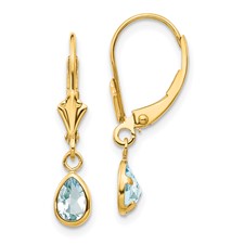 14K Yellow Gold Aquamarine Earrings