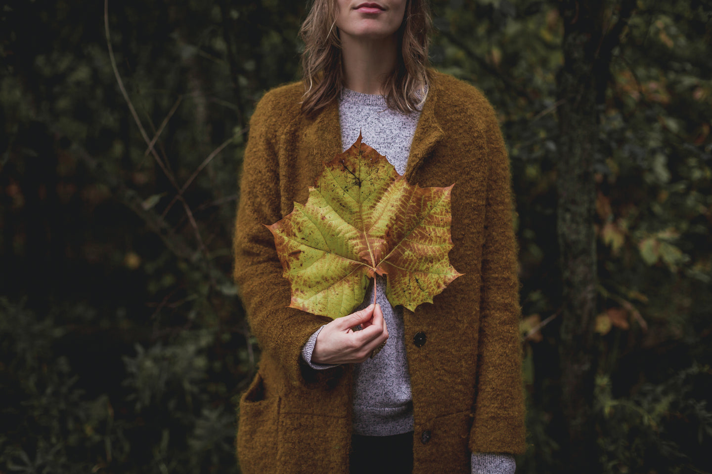 Fall Into Savings